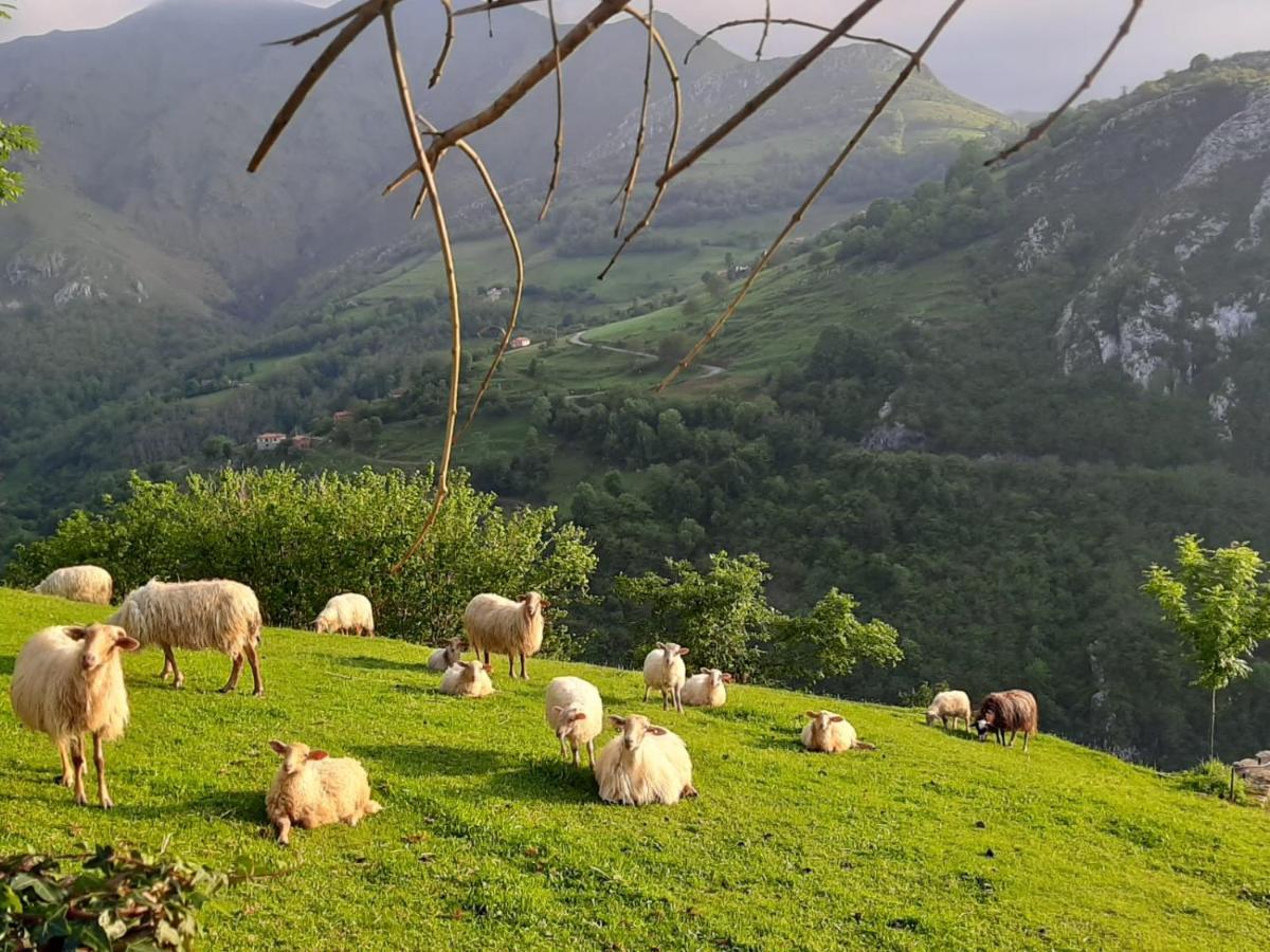 Hotel Rural El Rexacu Bobia de Arriba Ngoại thất bức ảnh